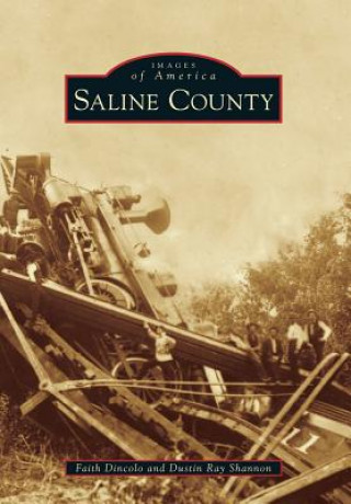 Knjiga Saline County Faith Dincolo