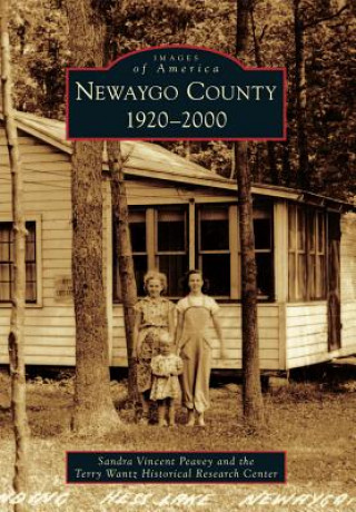 Libro Newaygo County: 1920-2000 Sandra Vincent Peavey