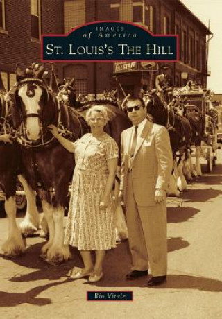Kniha St. Louis's the Hill Rio Vitale