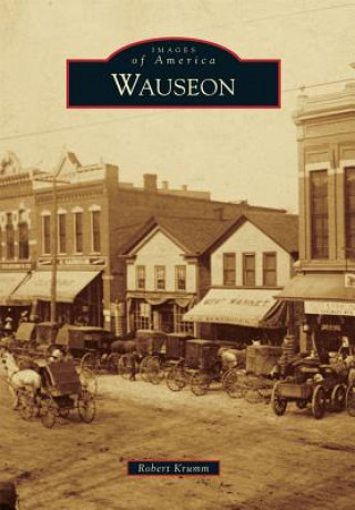 Книга Wauseon Robert Krumm