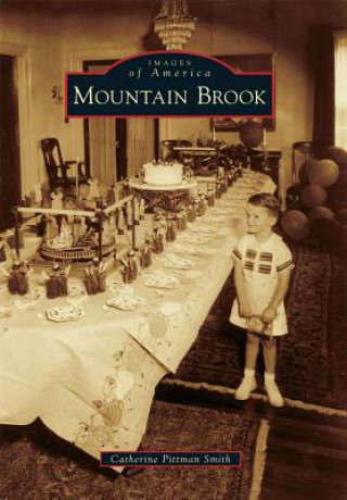 Книга Mountain Brook Catherine Pittman Smith