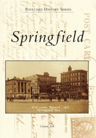 Libro Springfield Connie Yen