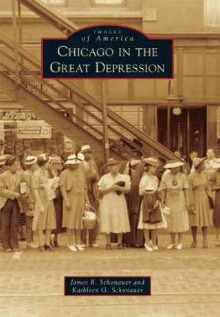 Buch Chicago in the Great Depression James R. Schonauer