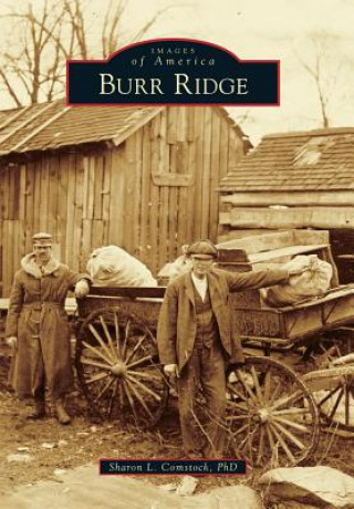 Книга Burr Ridge Sharon L. Comstock Ph. D.