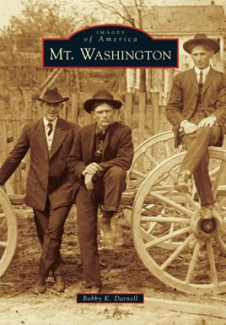 Книга Mt. Washington Bobby K. Darnell