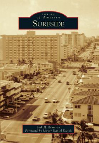 Buch Surfside Seth H. Bramson