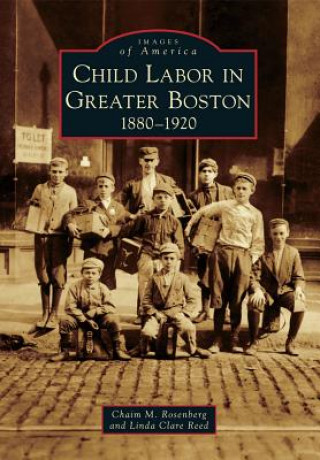 Kniha Child Labor in Greater Boston: 1880-1920 Chaim M. Rosenberg