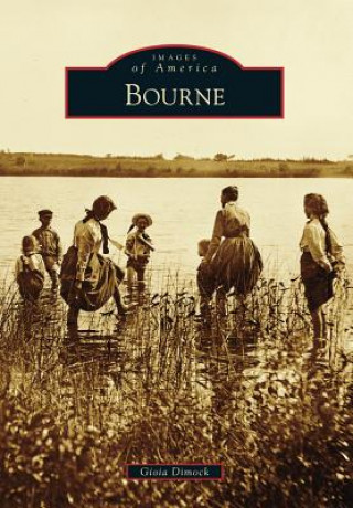 Kniha Bourne Gioia Dimock