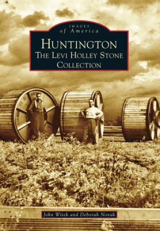 Livre Huntington: The Levi Holley Stone Collection John Witek