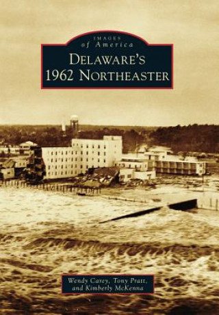 Carte Delaware's 1962 Northeaster Wendy Carey