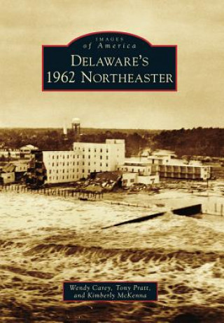 Book Delaware's 1962 Northeaster Wendy Carey