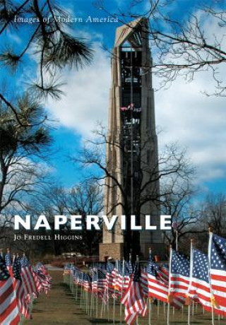 Book Naperville Jo Fredell Higgins