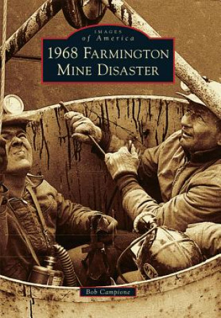 Book 1968 Farmington Mine Disaster Bob Campione