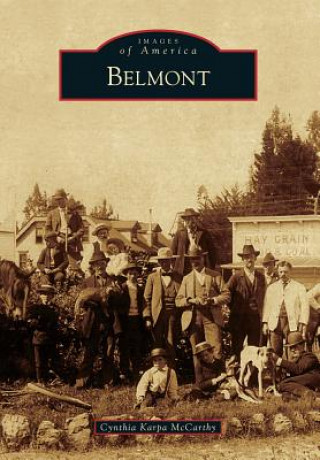 Книга Belmont Cynthia Karpa McCarthy