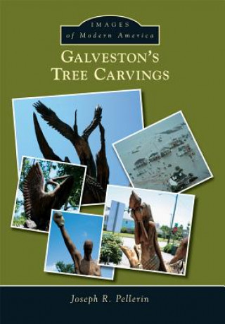 Kniha Galveston S Tree Carvings Joseph R. Pellerin