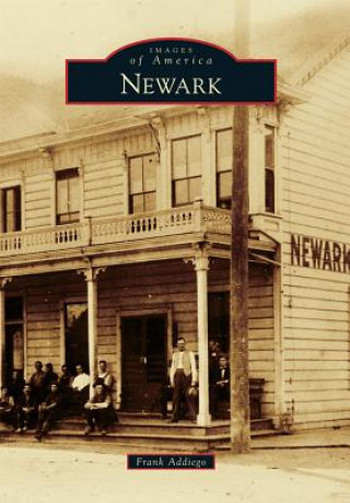 Libro Newark Frank Addiego