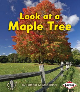 Buch Look at a Maple Tree Patricia M. Stockland