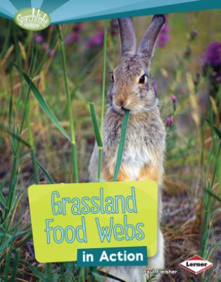 Kniha Grassland Food Webs in Action Paul Fleisher