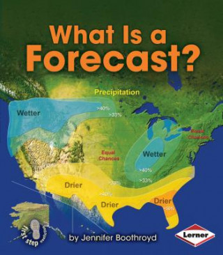 Kniha What Is a Forecast? Jennifer Boothroyd