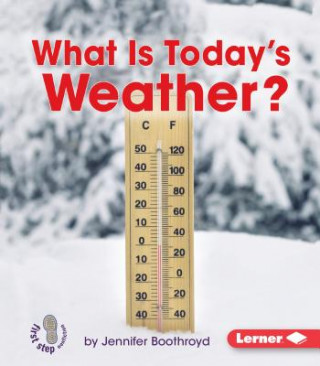 Kniha What Is Today's Weather? Jennifer Boothroyd