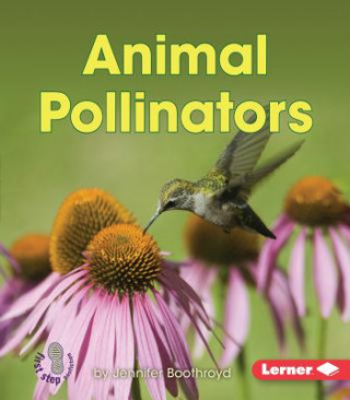 Kniha Animal Pollinators Jennifer Boothroyd