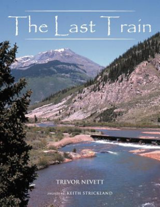 Könyv Last Train Trevor Nevett