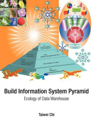 Kniha Build Information System Pyramid Taiwei Chi