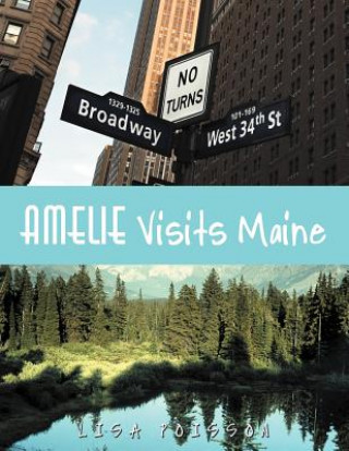 Buch Amelie Visits Maine Lisa Poisson