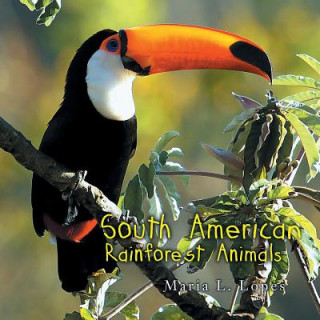 Kniha South America Rainforest Animals Maria L. Lopes