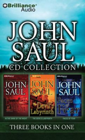 Audio John Saul CD Collection 4: In the Dark of the Night, the Devil's Labyrinth, Faces of Fear John Saul
