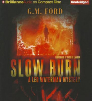 Аудио Slow Burn G. M. Ford