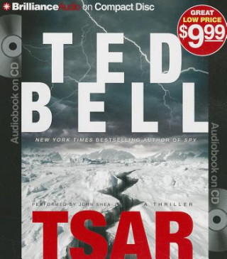 Audio Tsar Ted Bell