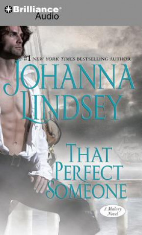 Audio That Perfect Someone Johanna Lindsey