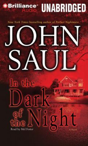 Audio In the Dark of the Night John Saul