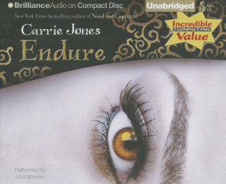 Audio Endure Carrie Jones