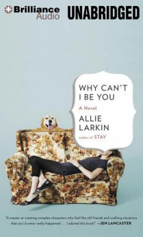 Audio Why Can't I Be You Allie Larkin