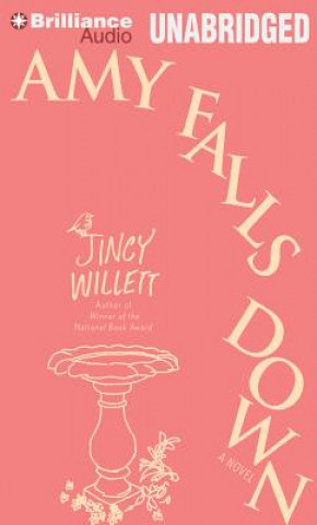 Audio Amy Falls Down Jincy Willett