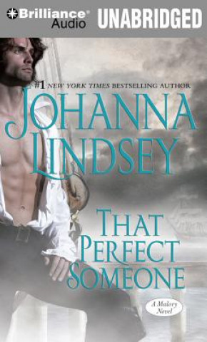 Audio That Perfect Someone Johanna Lindsey