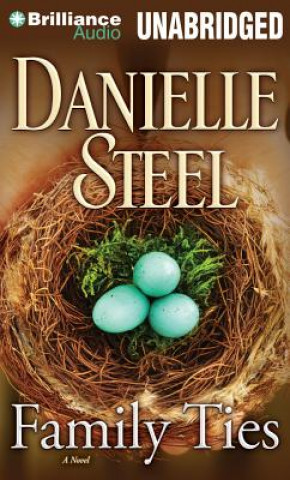 Audio Family Ties Danielle Steel