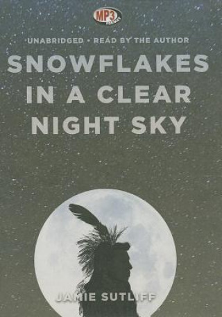 Digital Snowflakes in a Clear Night Sky Jamie Sutliff