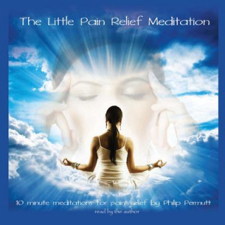 Audio The Little Pain Relief Meditation Philip Permutt