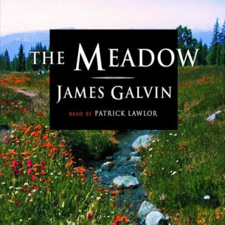 Audio The Meadow James Galvin