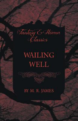 Carte Wailing Well (Fantasy and Horror Classics) M R James