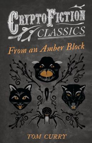 Kniha From an Amber Block (Cryptofiction Classics) Tom Curry