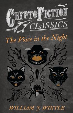 Knjiga Voice in the Night (Cryptofiction Classics) William J. Wintle