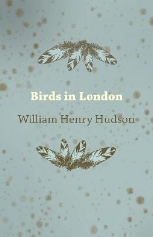 Kniha Birds in London William Henry Hudson