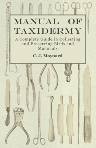 Kniha Manual of Taxidermy - A Complete Guide in Collecting and Preserving Birds and Mammals C. J. Maynard