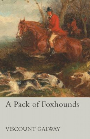 Buch A Pack of Foxhounds Viscount Galway