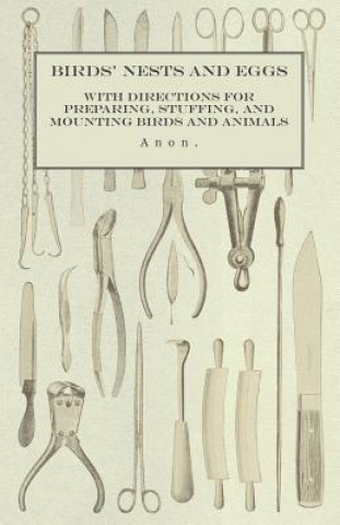 Książka Birds' Nests and Eggs - With Directions for Preparing, Stuffing, and Mounting Birds and Animals Anon