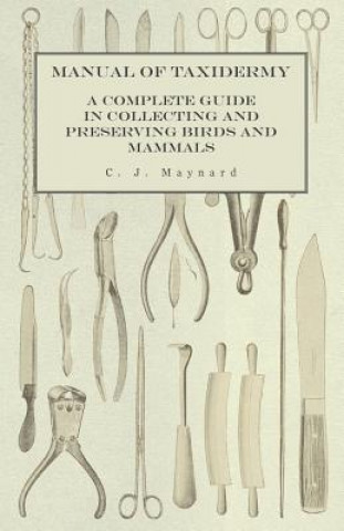 Książka Manual of Taxidermy - A Complete Guide in Collecting and Preserving Birds and Mammals C. J. Maynard